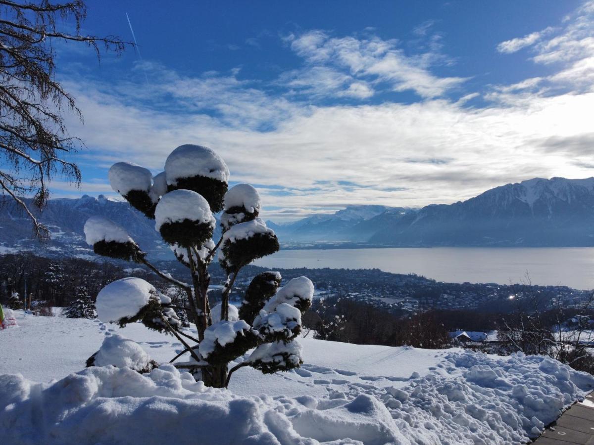 Appartement Moderne Avec Vue Panoramique A Jongny Proche De Montreux Luaran gambar