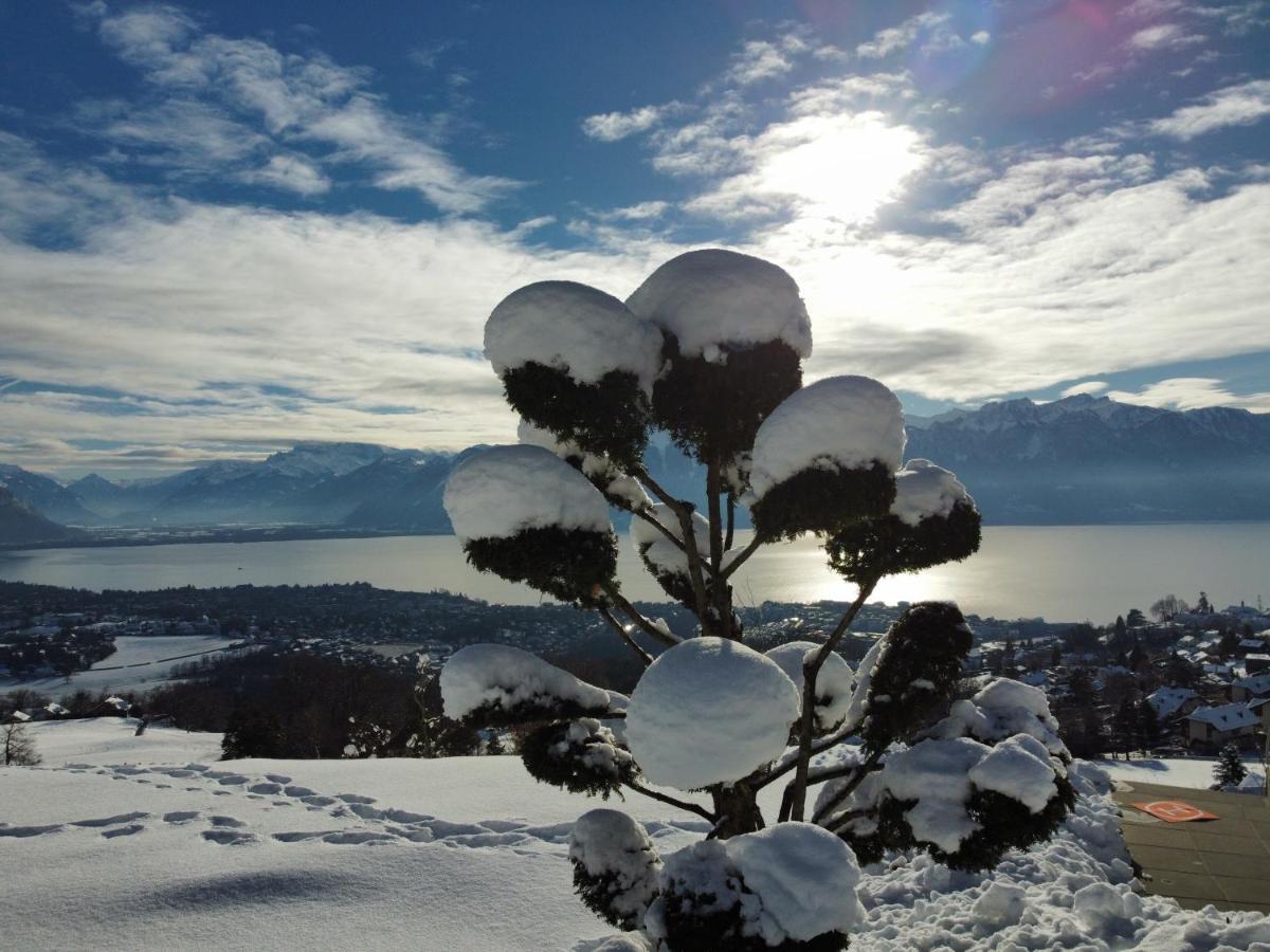 Appartement Moderne Avec Vue Panoramique A Jongny Proche De Montreux Luaran gambar